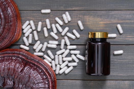 Close up of Ling zhi mushroom, Ganoderma lucidum mushroom and capsule with bottle mockup on wood table