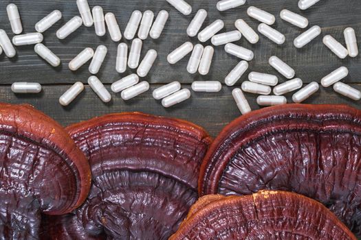 Close up of Ling zhi mushroom, Ganoderma lucidum mushroom and capsule on wood table