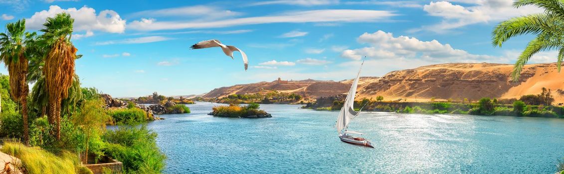 Panoramic view of river Nile in Aswan, sailing boat trip