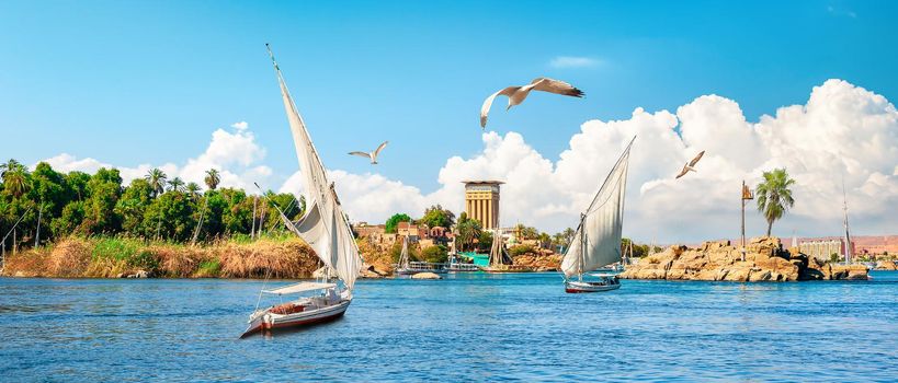 Sailing on river Nile in Aswan, Egypt