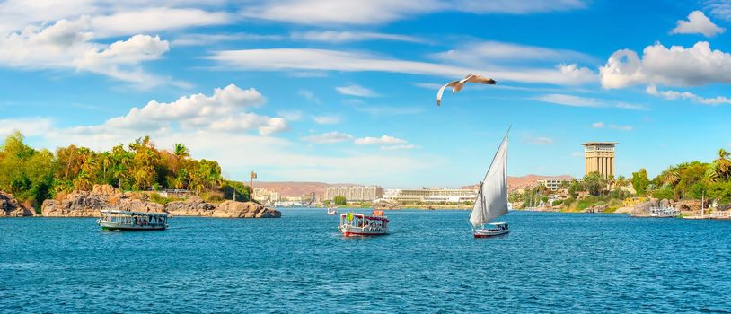 Sunny summer day in egyptian Aswan on river Nile