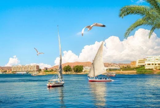 Touristic sailboats on river Nile at summer day in Aswan