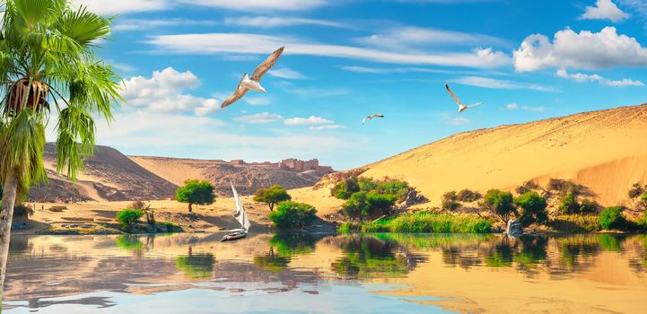 Travel on sailboat by picturesque river Nile in Aswan