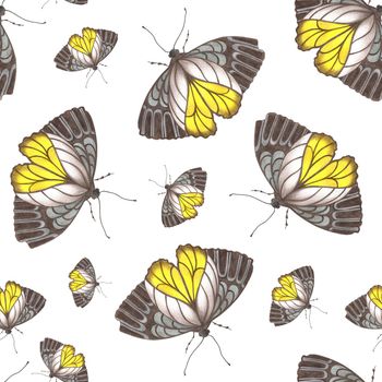 Hand-Drawn Seamless Pattern of Gray and Yellow Colored Butterflies of Various Sizes on White Backdrop.