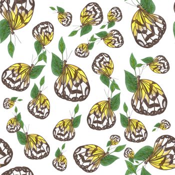 Hand-Drawn Seamless Pattern of Gray and Yellow Colored Butterflies of Various Sizes on White Backdrop.
