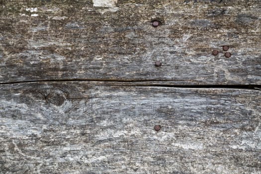 old gray dry wooden board with rusted nails macro texture and background