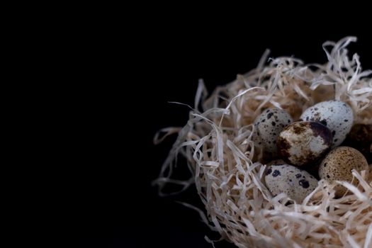 Heap of Quail eggs in nest from dry grass or hay isolated on dark background. easter eggs. copy space for advertising of food or restaurant menu design.