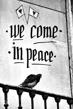 Pigeon perched on a balcony with peace message in Lisbon