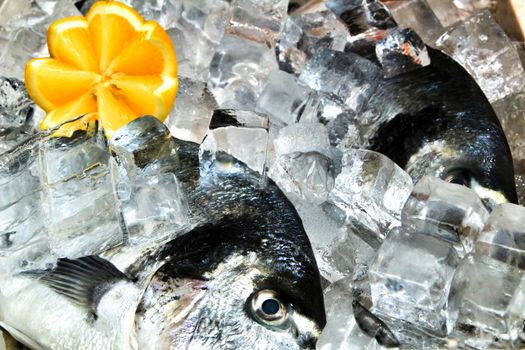 Fresh fish with ice for sale in a market