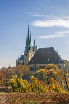 View of Erfurt cathedral from vineyard, Germany