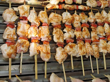 Close up of Chicken and meat brochette