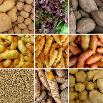 Group of peruvian vegetables Closeup