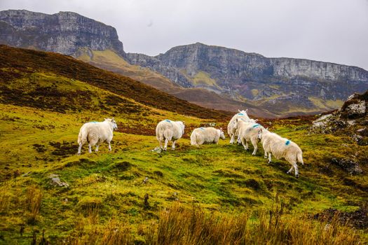 Landscape at the Isle of Skye, Scotland, United Kingdom, Europe