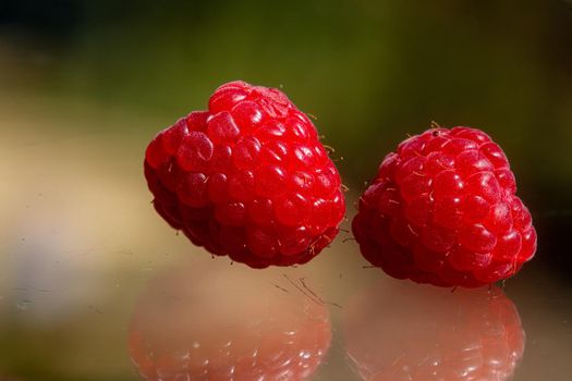 Raspberry on a dark Background