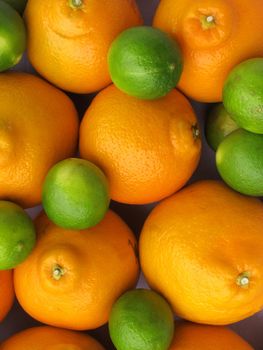 Orange & Lemon fruit closeup collection