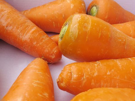 Fresh carrots vegetable collection closeup