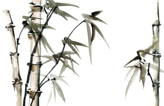 Watercolor illustration of bamboo with leaves on white background. Oriental traditional painting, sumi-e.