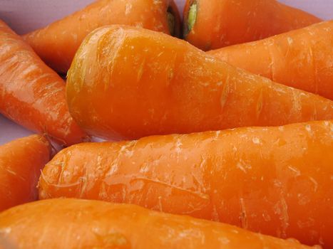 Fresh carrots vegetable collection closeup