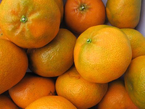 Fresh tangerine fruit collection closeup