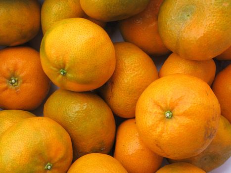 Fresh tangerine fruit collection closeup