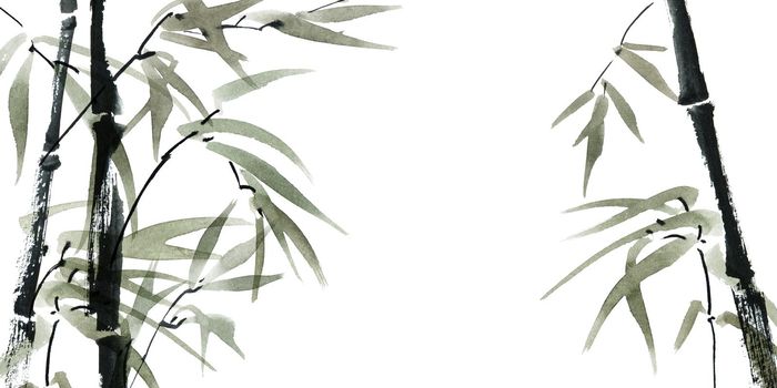 Watercolor illustration of bamboo with leaves on white background. Oriental traditional painting, sumi-e. Horizontzl design.