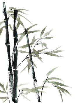 Watercolor illustration of bamboo with leaves on white background. Oriental traditional painting, sumi-e. Vertical design.