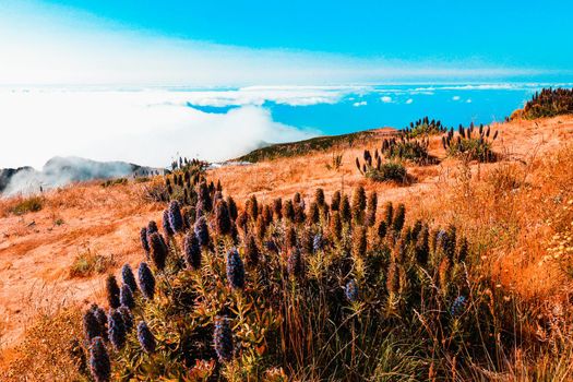 The Pico do Arieiro, Madeira, Portugal, Europe
