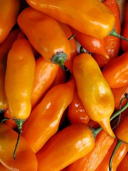 Peruvian yellow chili pepper for sale at the Farmers Market