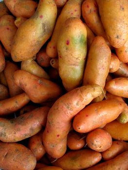 Olluquito background. Peruvian tuber - vegetable collection