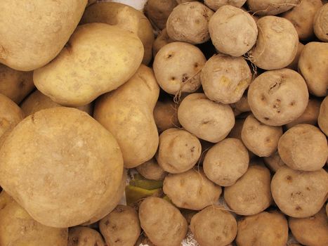 White and Yellow peruvian potato vegetable collection