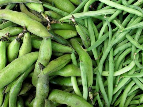 fresh Green beans vegetable collection