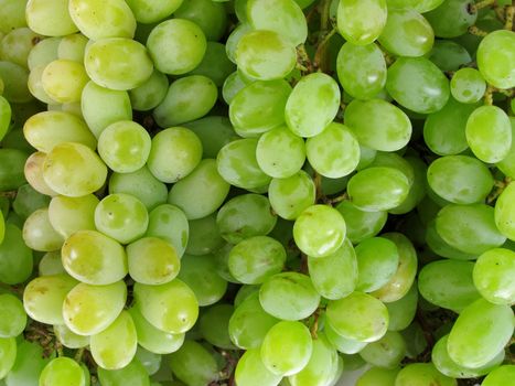 Fresh green grapes Background fruit collection