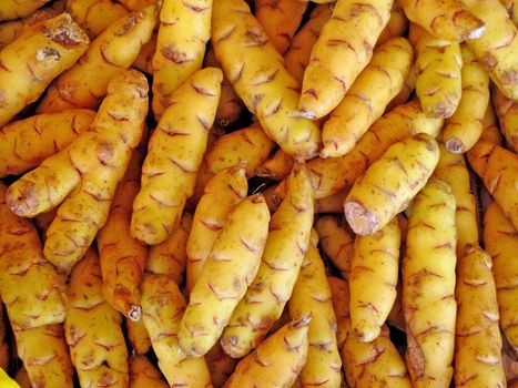 Olluquito background. Peruvian tuber - vegetable collection