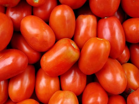 fresh organic Red tomatoes background