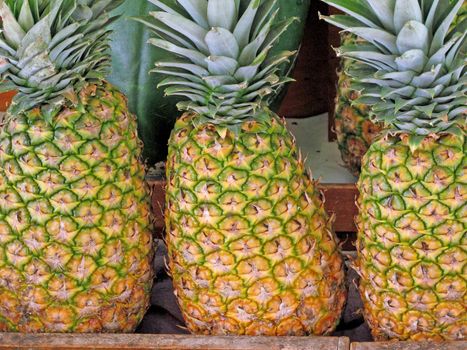 pattern of ripe pineapple background