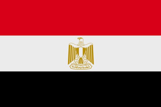 An Egypt flag background illustration red white black Eagle of Saladin