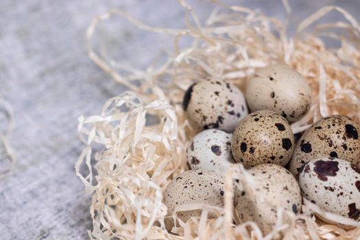 composition of quail eggs in a nest of dry grass or Wheat, oats, millet. Healthy food concept. with free space for text advertising of food or restaurant menu design.