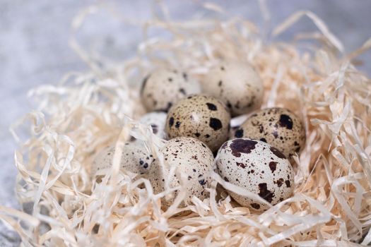 composition of quail eggs in a nest of dry grass or Wheat, oats, millet. Healthy food concept. with free space for text advertising of food or restaurant menu design.