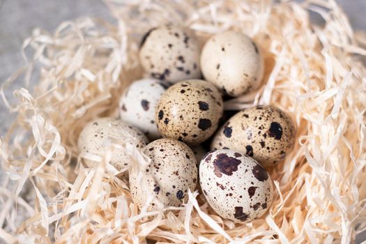 composition of quail eggs in a nest of dry grass or Wheat, oats, millet. Healthy food concept. with free space for text advertising of food or restaurant menu design.