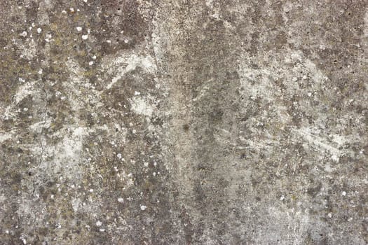A flat grey concrete surface. The surface is textured and has a few spots of white lichen.