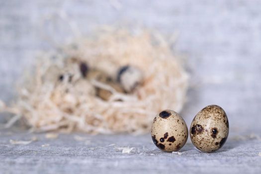 composition of quail eggs in a nest of dry grass or Wheat, oats, millet. Healthy food concept. with free space for text advertising of food or restaurant menu design.