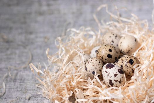 composition of quail eggs in a nest of dry grass or Wheat, oats, millet. Healthy food concept. with free space for text advertising of food or restaurant menu design.