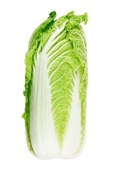 Fresh chinese cabbage isolated on a white background