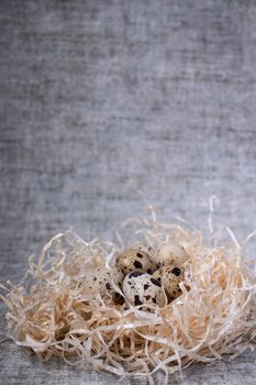 composition of quail eggs in a nest of dry grass or Wheat, oats, millet. Healthy food concept. with free space for text advertising of food or restaurant menu design.