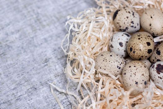 composition of quail eggs in a nest of dry grass or Wheat, oats, millet. Healthy food concept. with free space for text advertising of food or restaurant menu design.