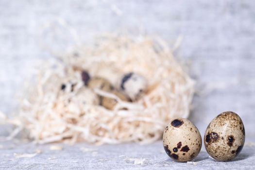 composition of quail eggs in a nest of dry grass or Wheat, oats, millet. Healthy food concept. with free space for text advertising of food or restaurant menu design.