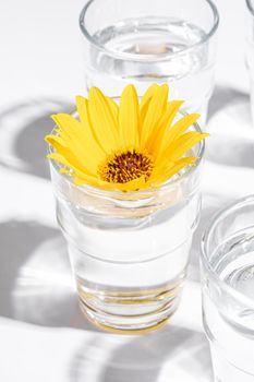 Fresh clear water drink with yellow flower in glass on white background, hard light creative composition, angle view