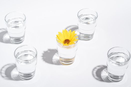 Fresh clear water drink with yellow flower in glass on white background, hard light creative composition, angle view