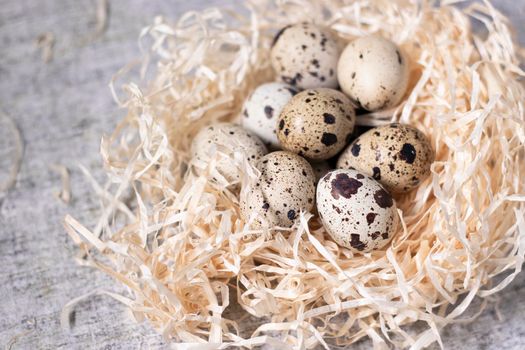 composition of quail eggs in a nest of dry grass or Wheat, oats, millet. Healthy food concept. with free space for text advertising of food or restaurant menu design.