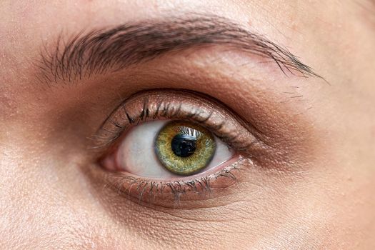 Close up of a beautiful female eye and a processed eyebrow, macro shot